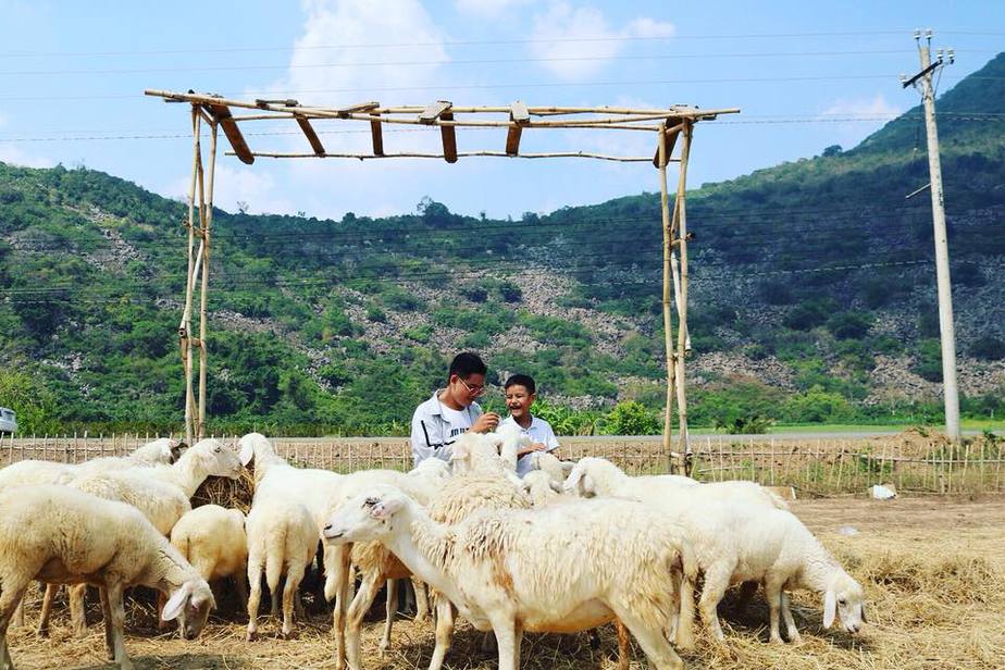 trai-tay-ninh-chinh-goc-chia-se-7-diem-must-try-cho-dan-nhap-mon-song-ao/