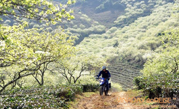 Kinh nghiệm Phượt Mai Châu