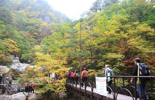 Giữa tháng 10 là thời điểm rất nhiều du khách đến Odaesan để leo núi, cắm trại, ngắm cảnh mùa thu. 
