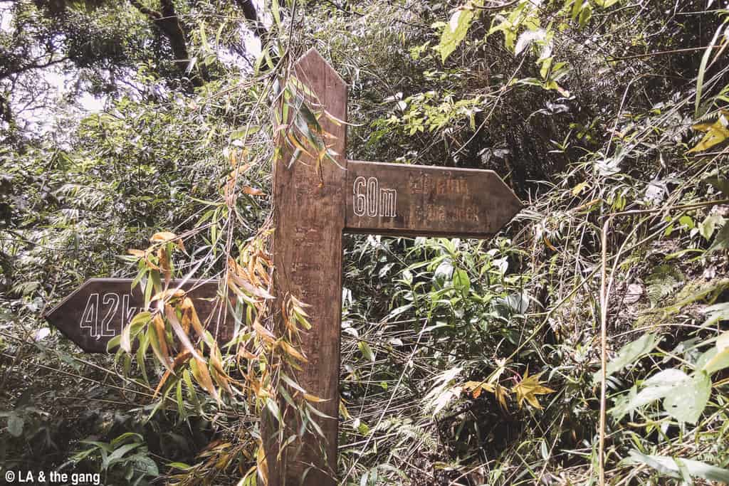 trekking langbiang-kinh nghiệm