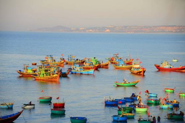 Những chiếc tàu đánh cá đầy màu sắc trên biển