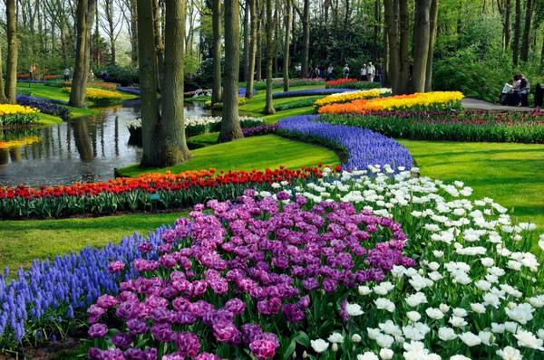 Con đường hoa tuyệt đẹp như tranh vẽ. Ảnh: mountholyokenews.org