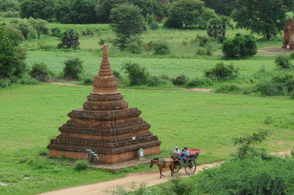 Xe ngựa là phương tiện di chuyển rất phổ biến ở Bagan. Ảnh: Tango