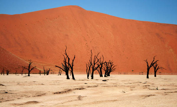 Một góc sa mạc đỏ Namib - Ảnh: wp