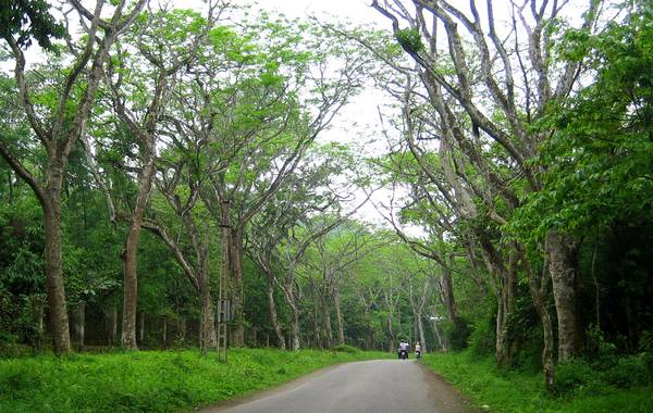 Rừng quốc gia Cúc Phương, Ninh Bình