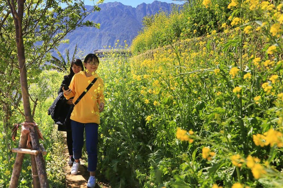 lac-buoc-than-tien-dong-suoi-hoa-cai-trang-dep-nhu-mo-o-sapa-13