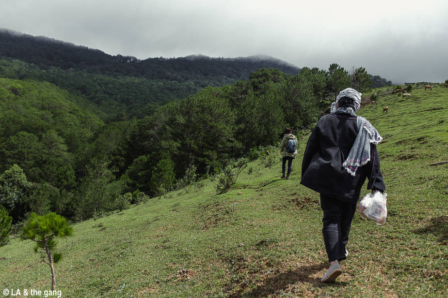 trekking langbiang-kinh nghiệm