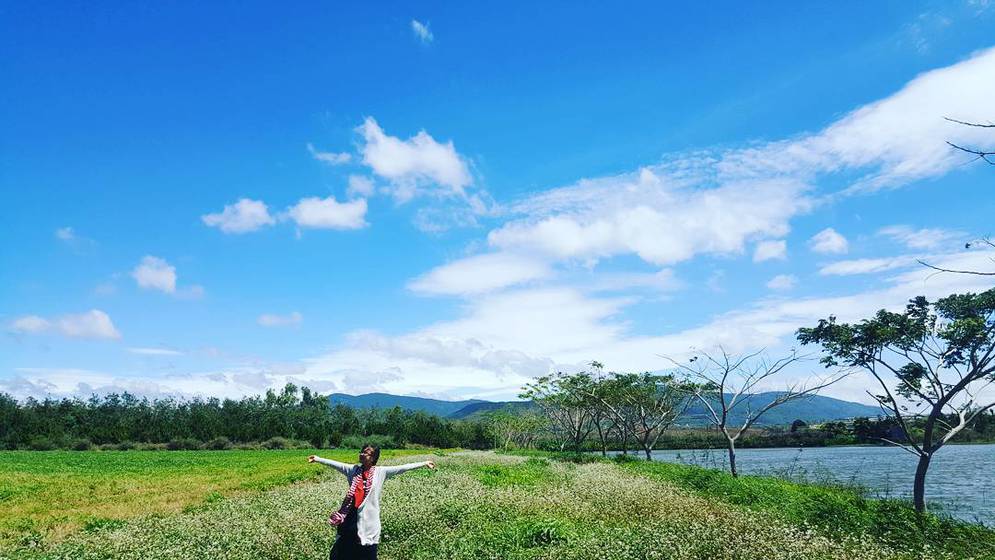 Image result for Cánh đồng hoa tam giác mạch Milk Farm