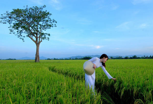 Phong cảnh miền quê yên bình và dung dị ở Phú Yên. Ảnh: Lê Minh.