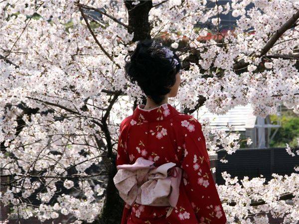 9. Kyoto, Nhật Bản: Kyoto có khoảng 1.600 ngôi chùa, 400 đền thờ Shinto và gần 100 nhà hàng có sao Michelin. Đây là một trong những thành phố vẫn còn lưu giữ nhiều nét cổ kính của Nhật Bản. Đến đây, bạn sẽ dễ dàng bắt gặp những geisha di chuyển trên đường phố.
