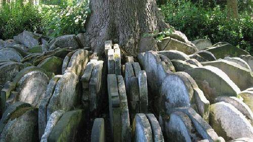Những bia đá cũ được xếp kín xung quanh một gốc cây phía sau nhà thờ St Pancras Old. Ảnh: Andrea Vali.