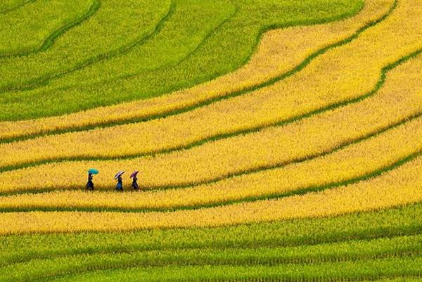 Nếu có thể đi dài ngày thì các địa danh như Sapa, Tây Bắc, Sơn La ở các tỉnh phía Bắc là nơi thích hợp.