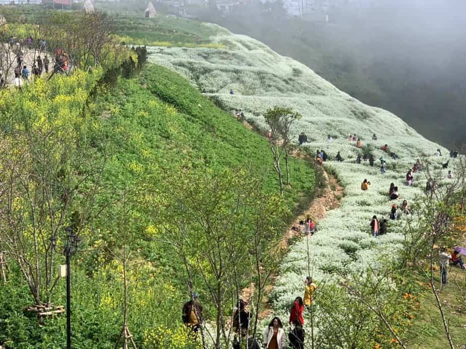 lac-buoc-than-tien-dong-suoi-hoa-cai-trang-dep-nhu-mo-o-sapa-1