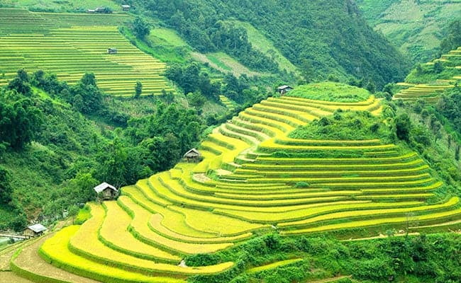 ruộng bậc thang