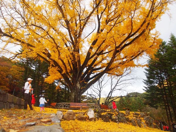 chiaksan-national-park