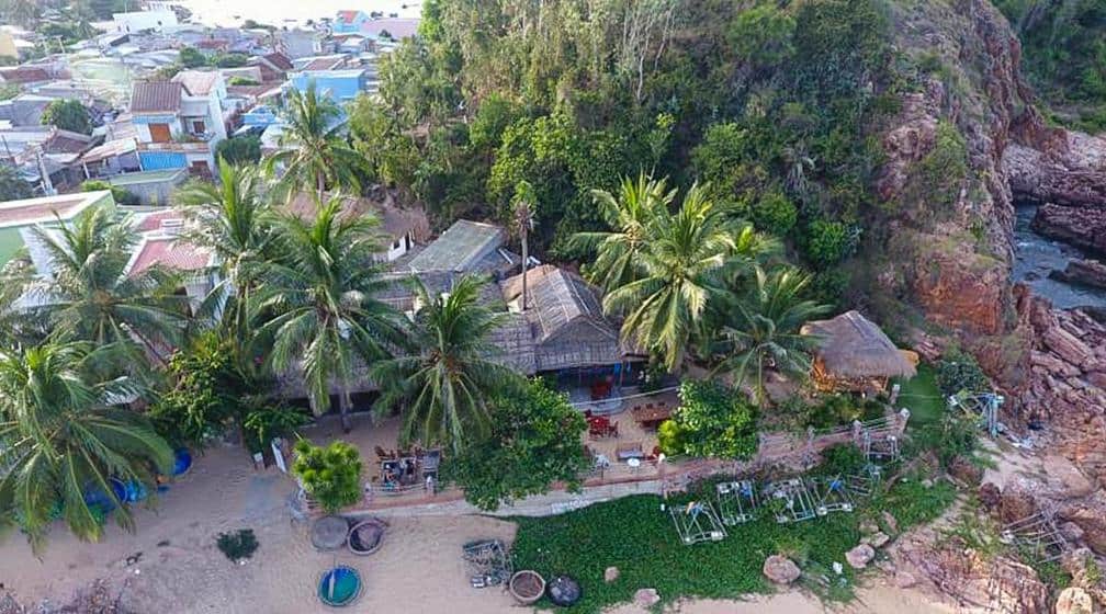 big-tree-hostel-haven-quy-nhon