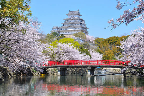 Thành Himeji được công nhận là quốc bảo của Nhật Bản và là di sản thế giới. Ảnh: himeji-kanko.jp