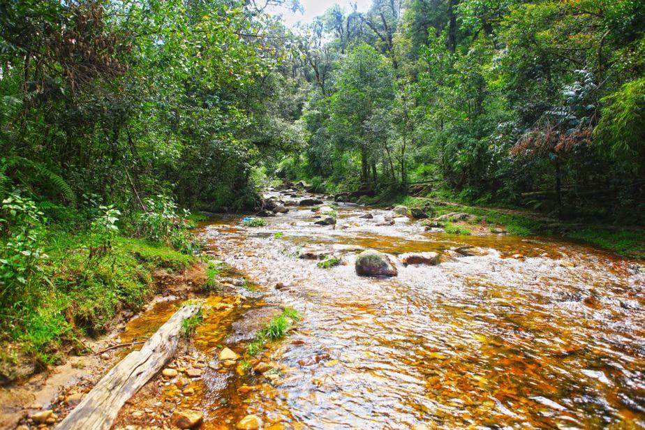 huong dan duong di den thac tinh yeu sapa