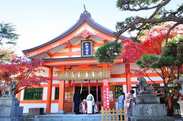 Một ngôi chùa cổ kính ở Fukuoka. Ảnh: seejapan.co.uk