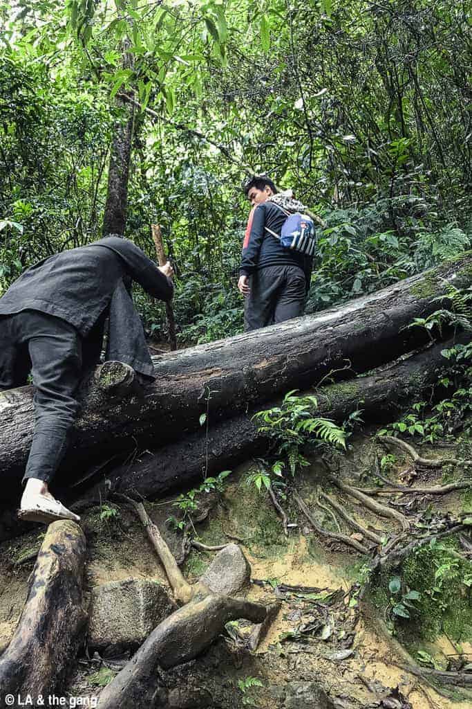 trekking langbiang-kinh nghiệm