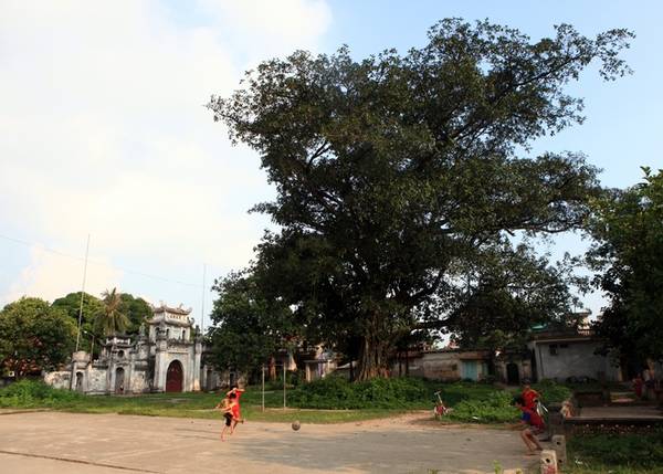 Chùa nằm ngay đầu làng Bối Khê và có cảnh quan đẹp. Trước chùa có một bãi rộng, qua đó mới đến cổng gạch của chùa.