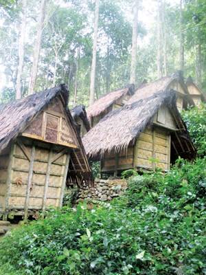 Làng quê kiểu Papua ở gần núi Cycloops