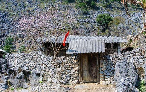 Những ngôi nhà nhỏ, đơn sơ cũng trở nên nổi bật hơn với cây đào nở đầy hoa cạnh hiên nhà và hàng rào đá. Đây là hình ảnh đặc trưng  