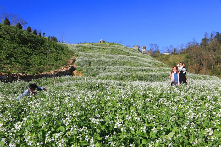 lac-buoc-than-tien-dong-suoi-hoa-cai-trang-dep-nhu-mo-o-sapa-2