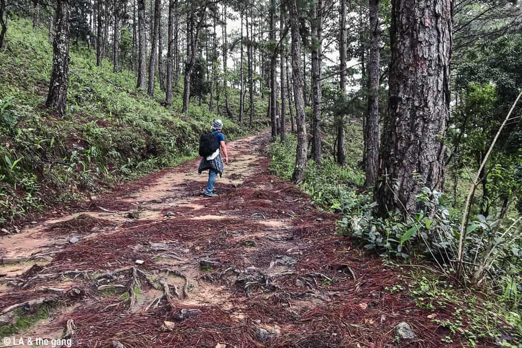 trekking langbiang-kinh nghiệm