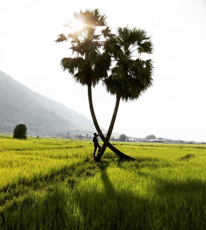 trai-tay-ninh-chinh-goc-chia-se-7-diem-must-try-cho-dan-nhap-mon-song-ao/