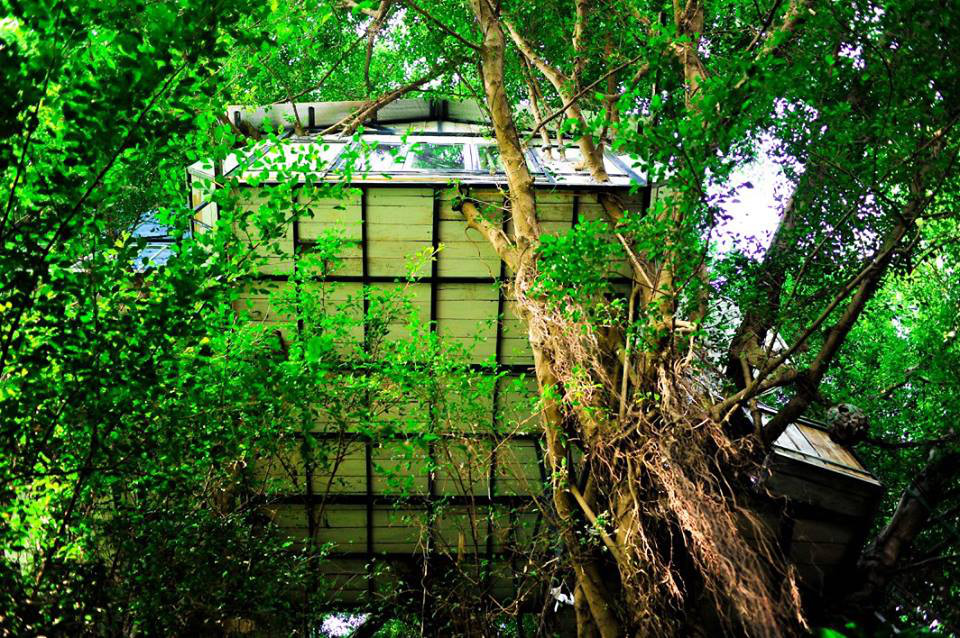 Nhà trên cây Cosy Tree House - Homestay đẹp, giá rẻ tại Hà Nội