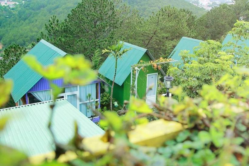 Windy Hill coffee & homestay Đà Lạt: Những mái nhà hòa mình với thiên nhiên