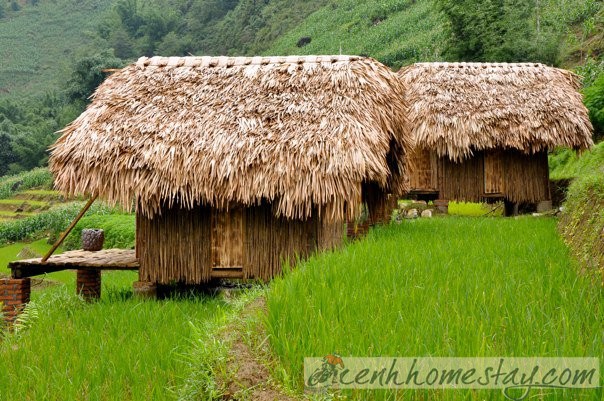 Top 20 + homestay in Northwest Vietnam with the beutiful view