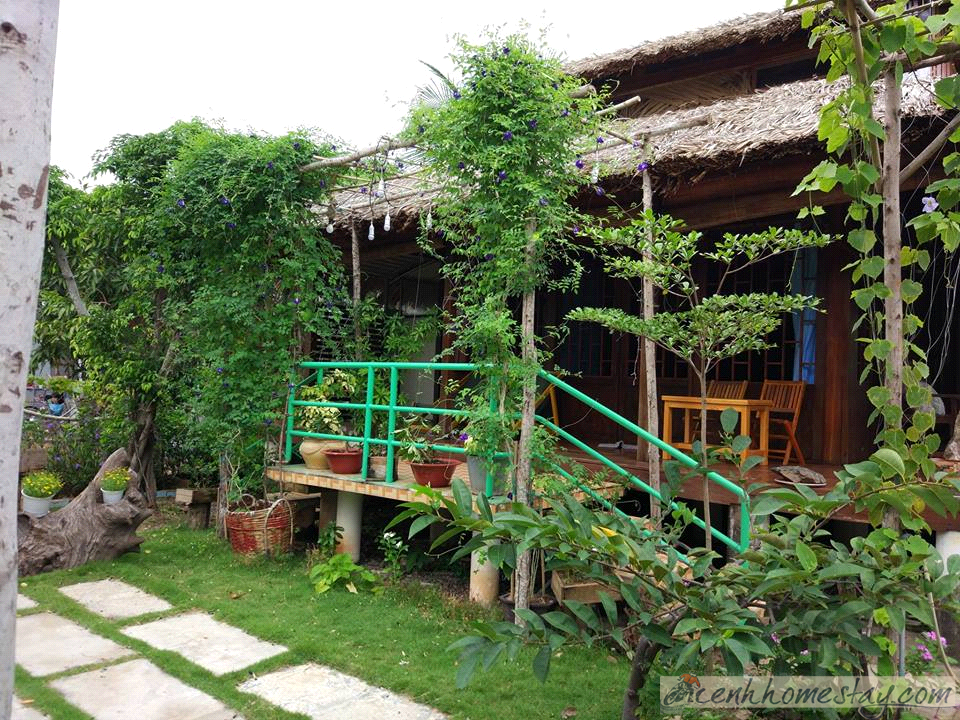 Bạch Cúc Homestay Long Hải Vũng Tàu