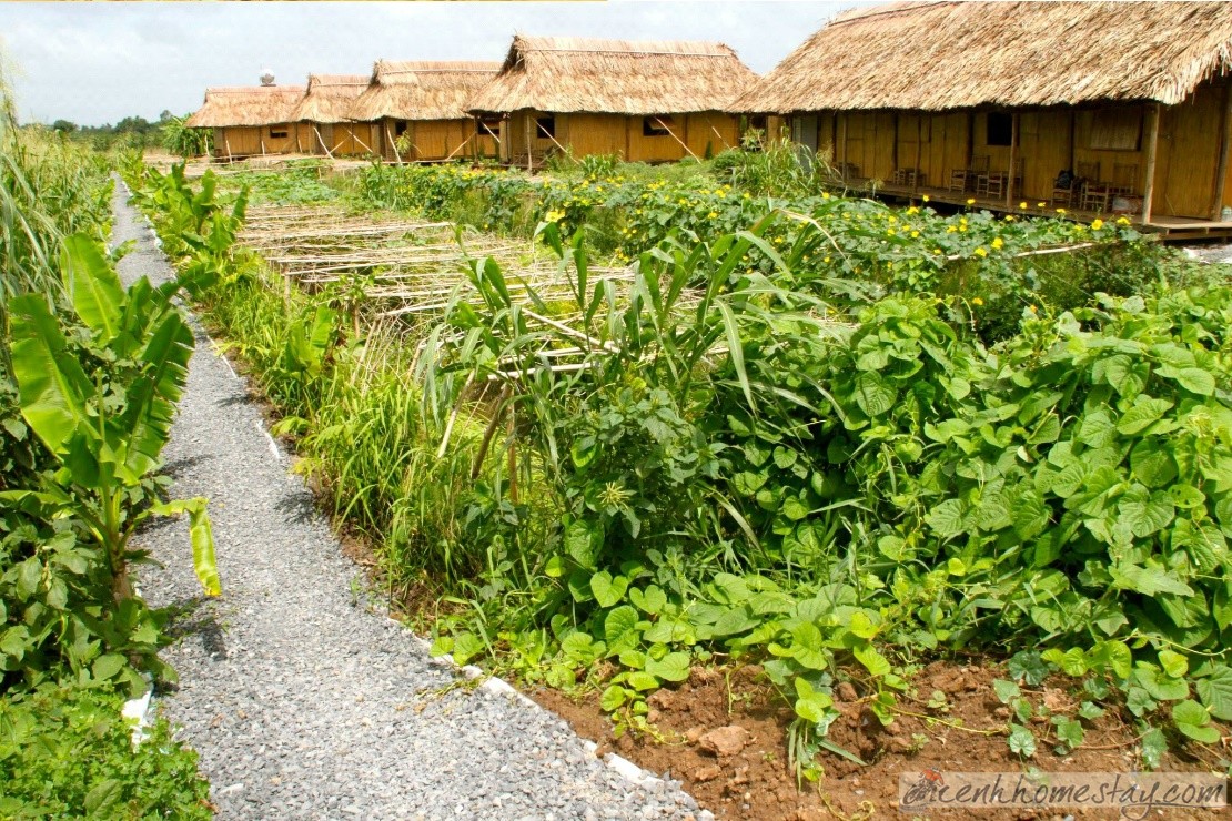 Homestay Nguyen Shack Cần Thơ, Đồng Bằng Sông Cửu Long