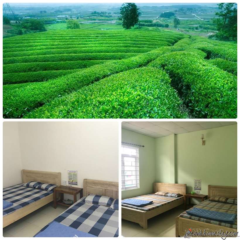 30 homestay Mộc Châu Sơn La giá rẻ đẹp nhất gần đồi chè trái tim 50k