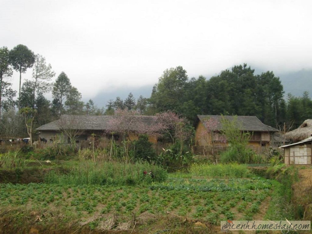 Dao Lodge homestay Hà Giang