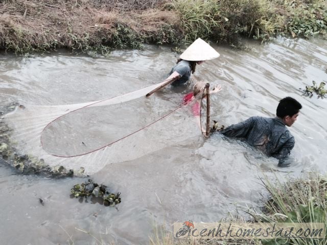 Homestay Green Village Cái Răng Cần Thơ