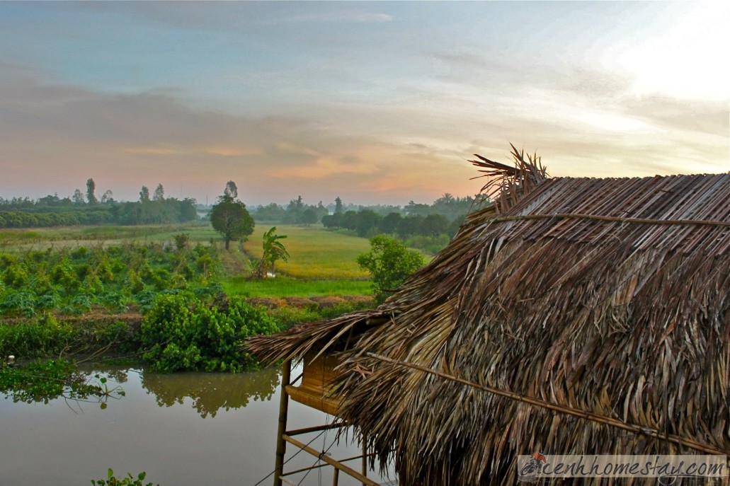 Homestay Nguyen Shack Cần Thơ, Đồng Bằng Sông Cửu Long