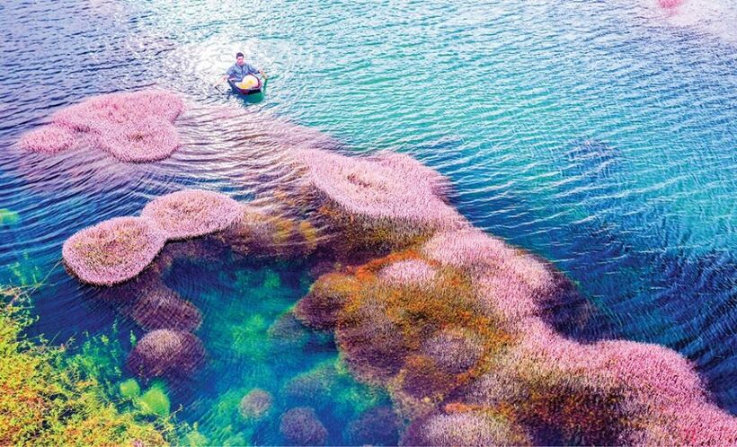 Hồ tảo hồng B''lao ở Bảo Lộc: Kinh nghiệm tham quan chụp ảnh đẹp mê hồn