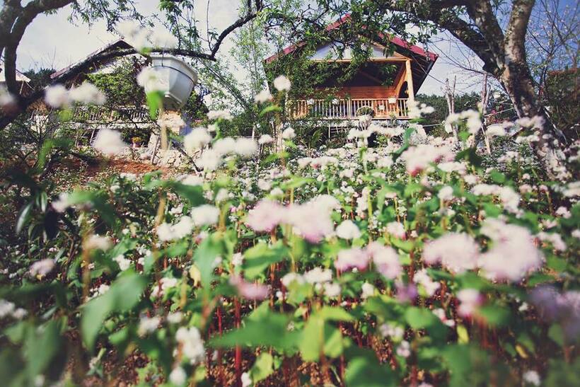 Vân Hồ Ecolodge - khu nghỉ dưỡng sinh thái ở Sơn La làm đảo điên du khách