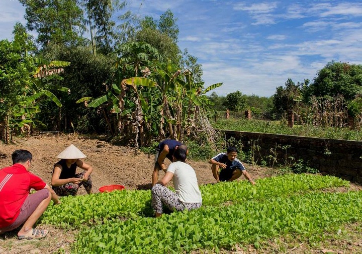 Bà Đất Homestay: “Ốc đảo” kì thú giữa rừng già Trị An