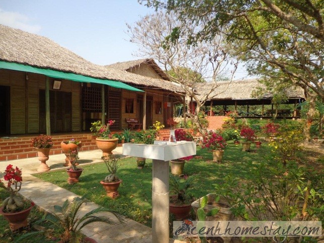 10 homestay Vĩnh Long “chất lừ” thỏa sức khám phá miền Tây sông nước