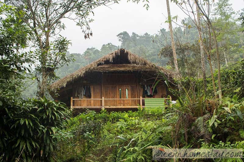 Top 50+homestay Hà Giang giá rẻ và đẹp níu chân du khách phương xa