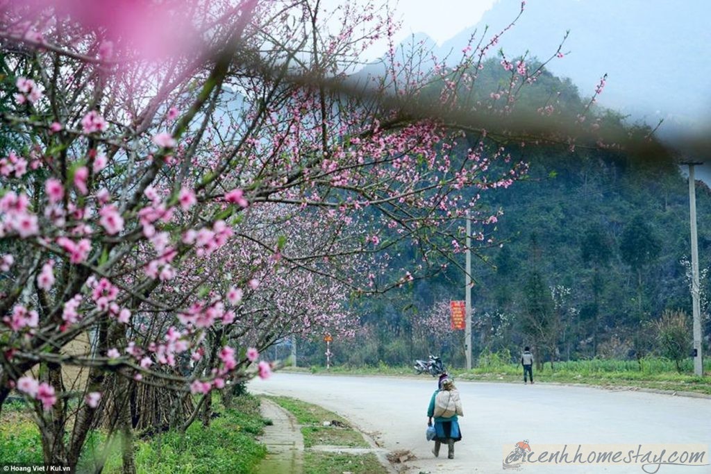 Dao Lodge homestay Hà Giang