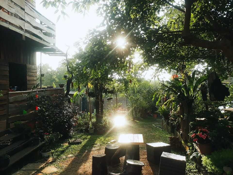 Wood House Garden: Vườn nhà gỗ mộng mơ giữa đất trời Bảo Lộc