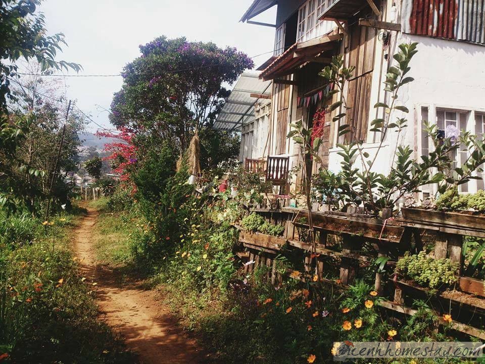 Ngó Dâu homestay Đà Lạt