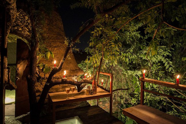 Nhà trên cây Cosy Tree House - Homestay đẹp, giá rẻ tại Hà Nội