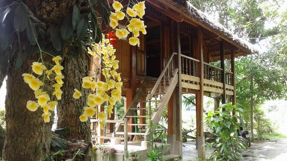 Linh Sôi Homestay