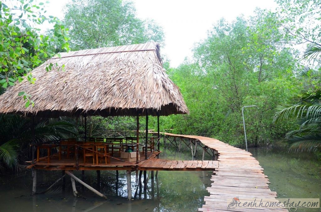 Top 50 homestay đẹp Sài Gòn "lưu ngay" cho chuyến du lịch